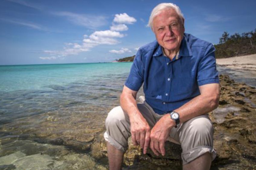 David Attenborough 100 letá legenda přírodovědy, která přišla se žlutými tenisáky: Málokterá osobnost formovala náš pohled na planetu…