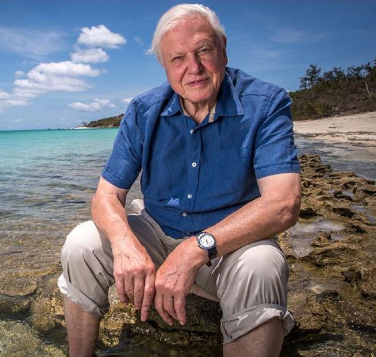 zobrazit detail snímku: David Attenborough
