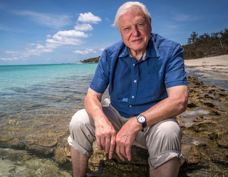 zobrazit detail snímku: David Attenborough