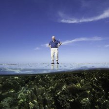 David Attenborough