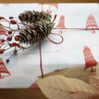 Dáreček se šiškami a hlohem - klikněte pro zobrazení detailu
