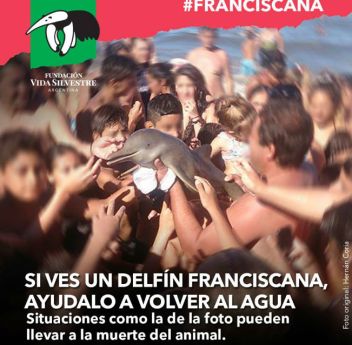 Plakát Fundación Vida Silvestre Argentina - Agentinského fondu na ochranu přírody - klikněte pro zobrazení detailu