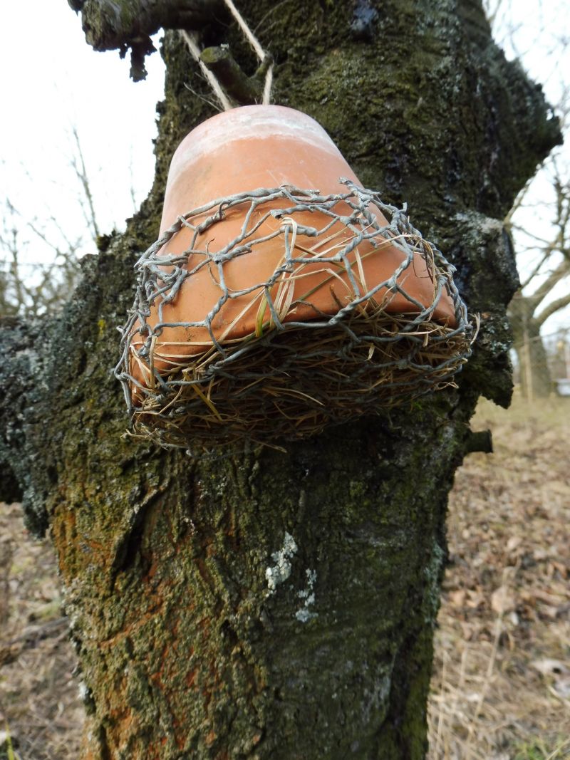 Zavěšený domeček pro škvory - klikněte pro zobrazení detailu