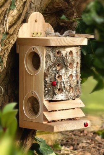 Domek pro berušky i zlatoočka - klikněte pro zobrazení detailu Domek pro berušky i zlatoočka - klikněte pro zobrazení detailu