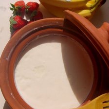 Domácí jogurt