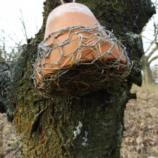 Zavěšený domeček pro škvory