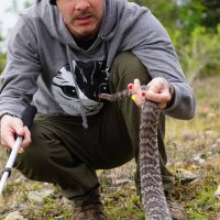 Dominic Monaghan - klikněte pro zobrazení detailu