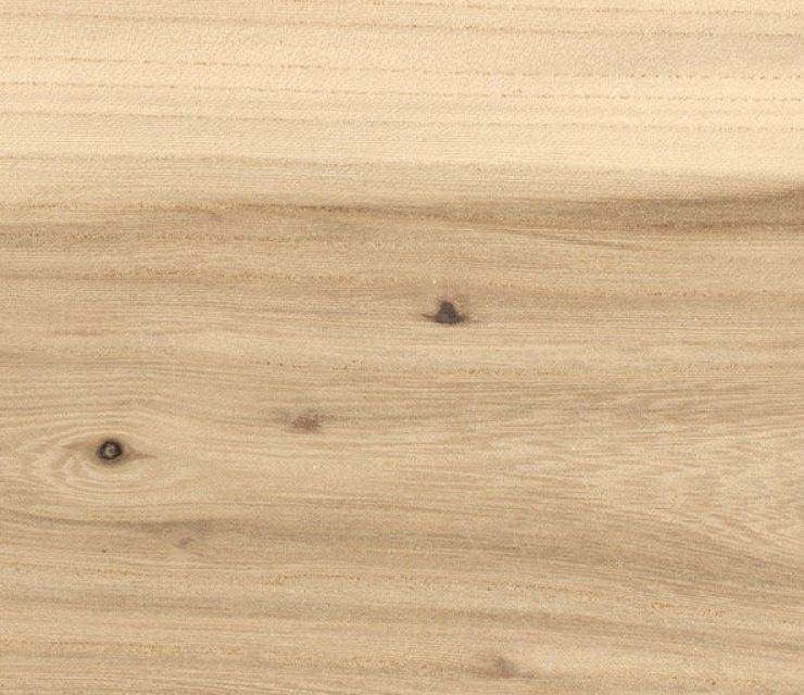 zobrazit detail snímku: Jilm