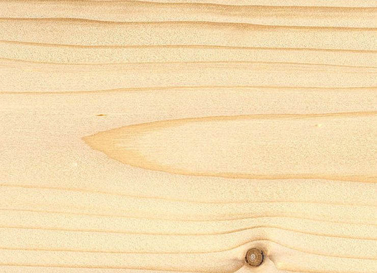 zobrazit detail snímku: Smrk