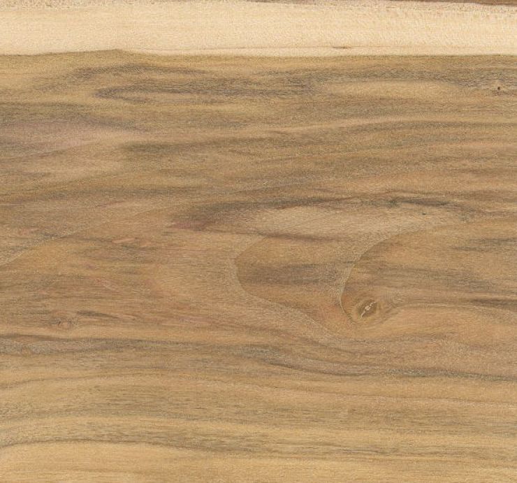 zobrazit detail snímku: Švestka