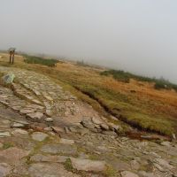 Pramen labe - klikněte pro zobrazení detailu