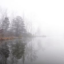 Rybník Vejsplachy - Lužní lesík - pohled z malého mola