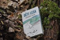 Kniha Děti lesa – Dva vlci na cestě za svobodou: Recenze této nejen populárně naučné knihy.…