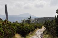 Ze Špindlerovy boudy na Sněžku a Obřím dolem do Pece pod Sněžkou: Výlet na Krkonoše, kteří si užijí všichni ti,…