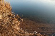 Tajemství „černého“ ledu, bílých talířů v něm a zpívajících jezer Tajemství „černého“ ledu, bílých talířů v něm a zpívajících jezer: Představte si, že stojíte uprostřed rozlehlé vodní…