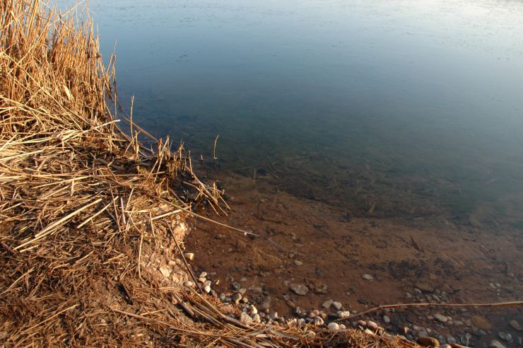 zobrazit detail snímku: Černý led na rybníce ve Smiřicích