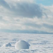 Svět pod sněhem - Tajemné království zvané subnivium