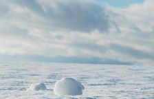 Svět pod sněhem - Tajemné království zvané subnivium