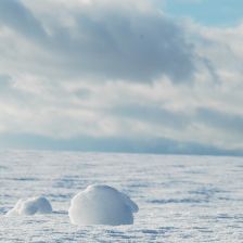 Svět pod sněhem - Tajemné království zvané subnivium