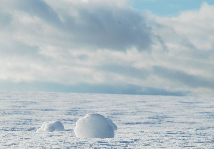 zobrazit detail snímku: Sníh