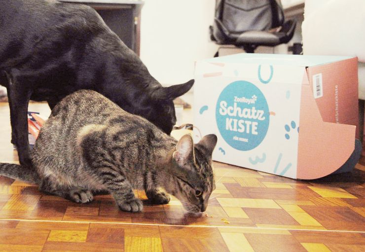zobrazit detail snímku: Agi i Amálka si pochutnávají
