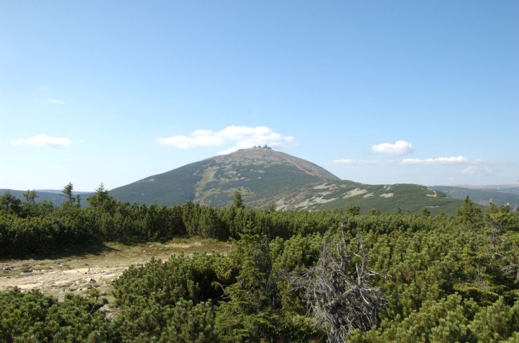 zobrazit detail snímku: Sněžka ze Svorové hory cestou z Pomezek