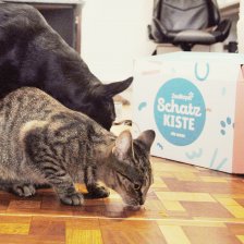 Agi i Amálka si pochutnávají