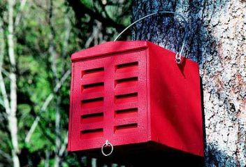 Dům pro zlatoočka - klikněte pro zobrazení detailu Dům pro zlatoočka - klikněte pro zobrazení detailu