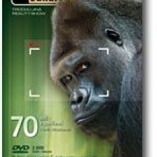 DVD Odhalení