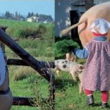 Na Farmě na Vysočině