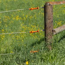 Neviditelné hranice: Jak moderní ohradníky chrání zvířata i rovnováhu v naší krajině