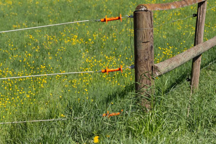 zobrazit detail snímku: elektrický ohradník