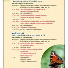 Program první části „Shromáždění mladých občanů na téma opylovači“