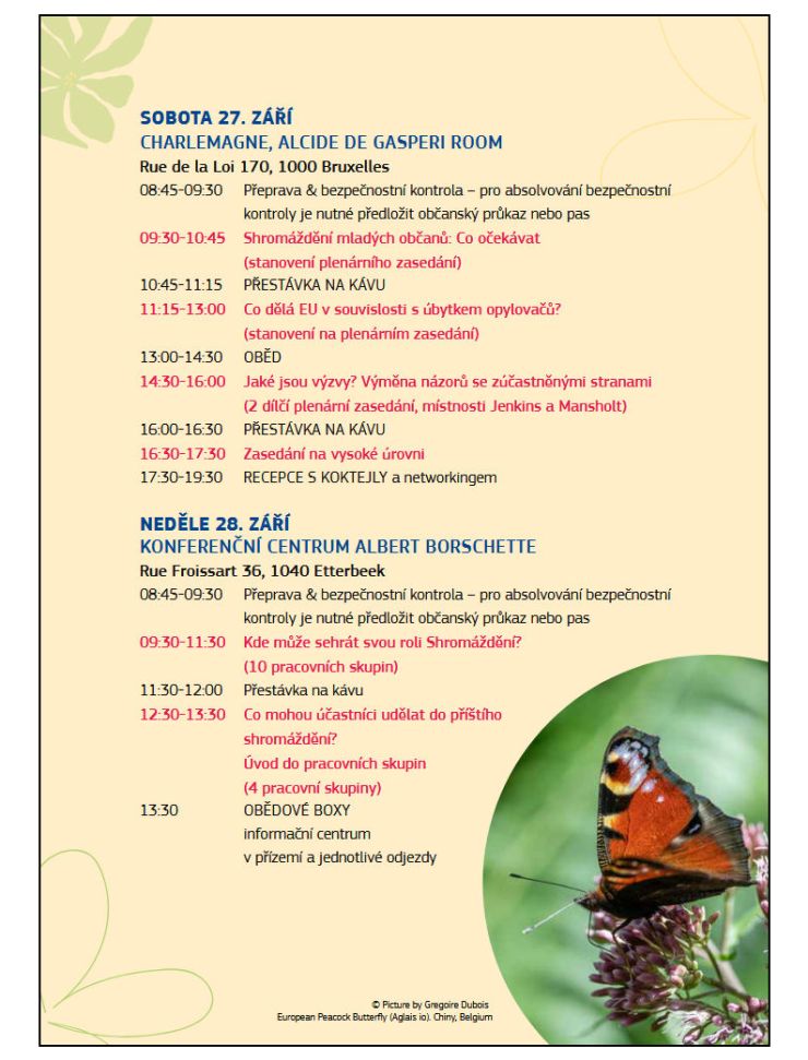 zobrazit detail snímku: Program první části „Shromáždění mladých občanů na téma opylovači“