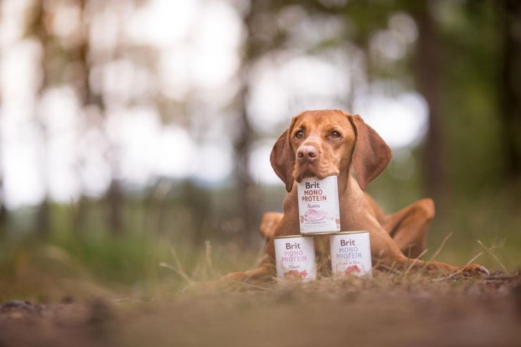 zobrazit detail snímku: Krmení.