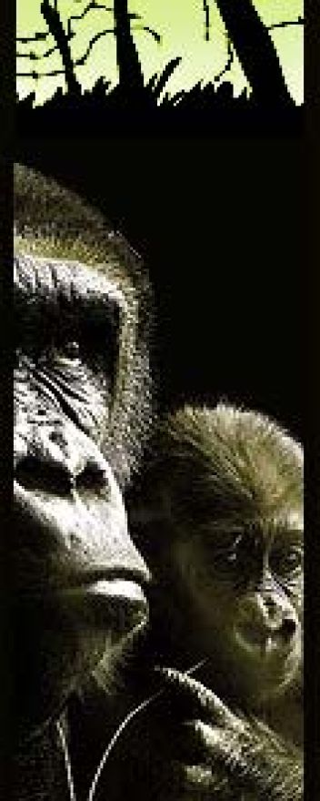 Festival Otevři oči - klikněte pro zobrazení detailu