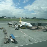 letadlo společnosti Cebu Pacific na letišti na Boholu - klikněte pro zobrazení detailu