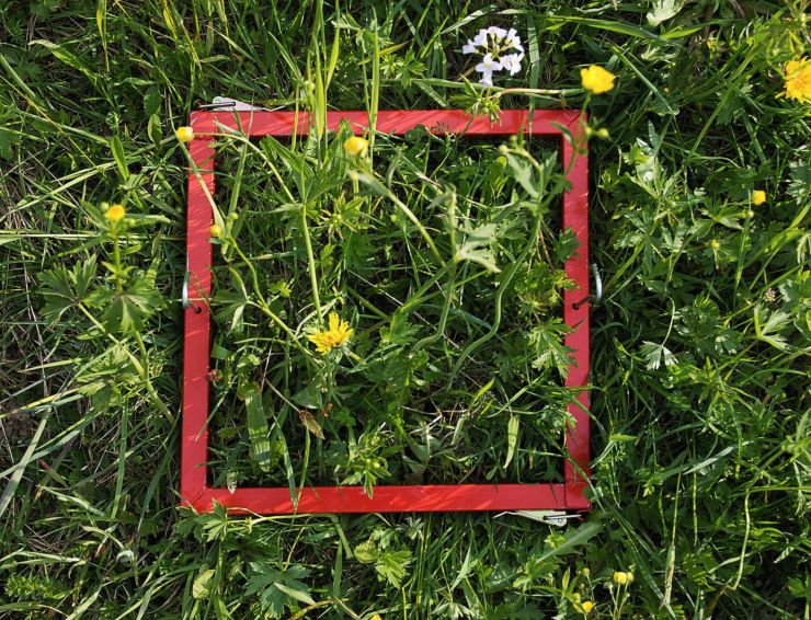 zobrazit detail snímku: Kalibrovaný čtverec pro monitorování krajiny.