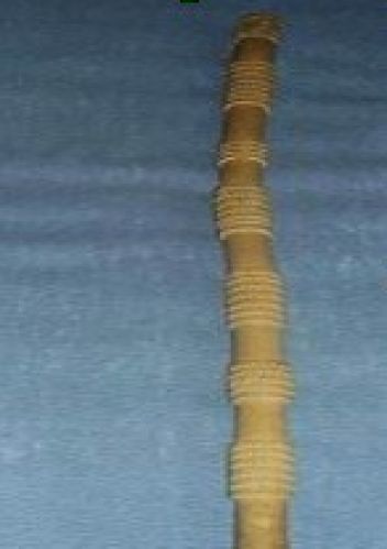 Fujara - klikněte pro zobrazení detailu Fujara - klikněte pro zobrazení detailu