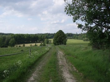 Trasa obnovované aleje - klikněte pro zobrazení detailu