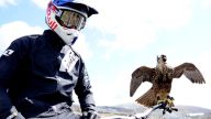 Závod sokola stěhovavého proti závodnímu cyklistovi: Špičkový profesionální jezdec downhillu Gee…