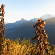 Ghorepani-poon hill trek - Nepál