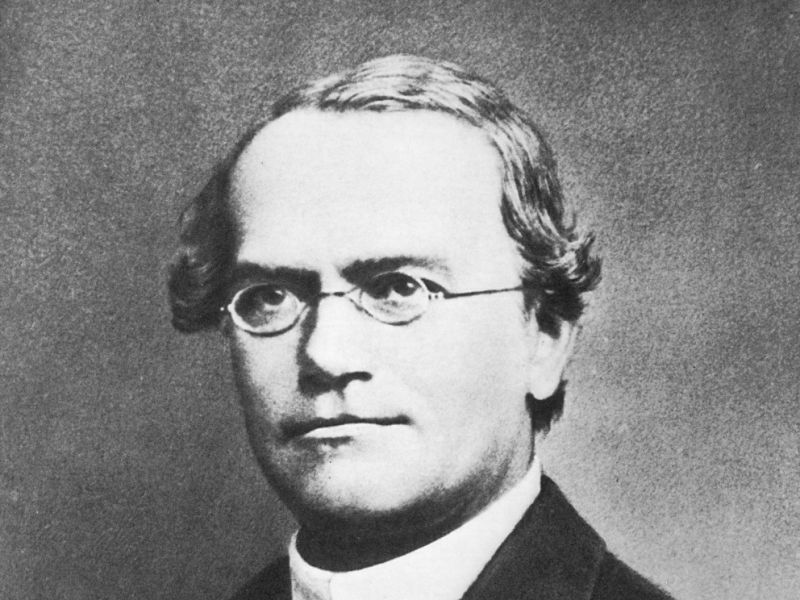 Gregor Johann Mendel - klikněte pro zobrazení detailu