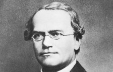 Jak se Gregor Johann Mendel málem nestal otcem genetiky