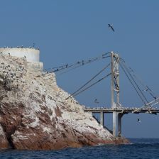 Novodobá těžba Guána