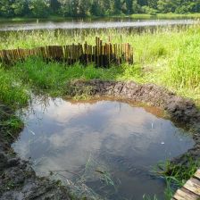 Habitat pro obojživelníky 2