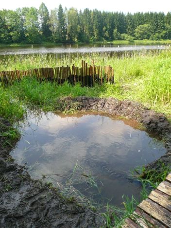 zobrazit detail snímku: Habitat pro obojživelníky 2