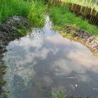 Habitat pro obojžívelníky 3 - klikněte pro zobrazení detailu