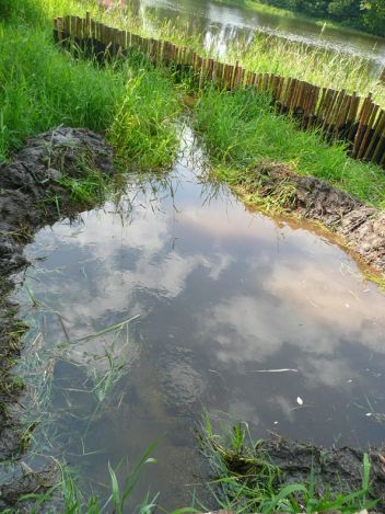 zobrazit detail snímku: Habitat pro obojžívelníky 3