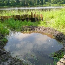 Habitat pro obojživelníky 2